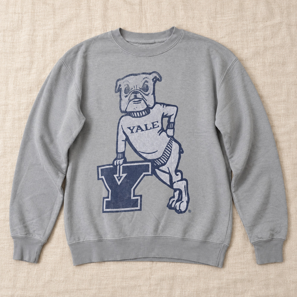 Yale University Bulldog Sweatshirt Gray Adult Small Block Y Crewneck